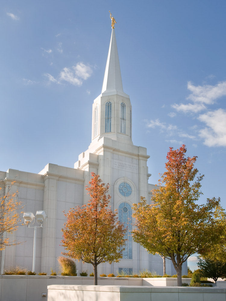St Louis Temple - Autumn Trees by Robert A Boyd