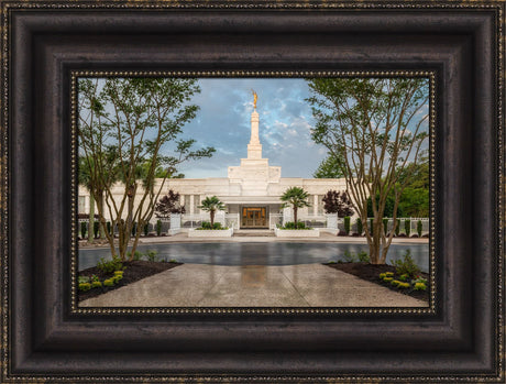 Columbia South Carolina Temple - Covenant Path by Robert A Boyd