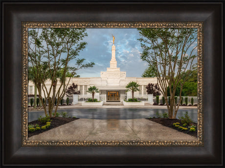 Columbia South Carolina Temple - Covenant Path by Robert A Boyd