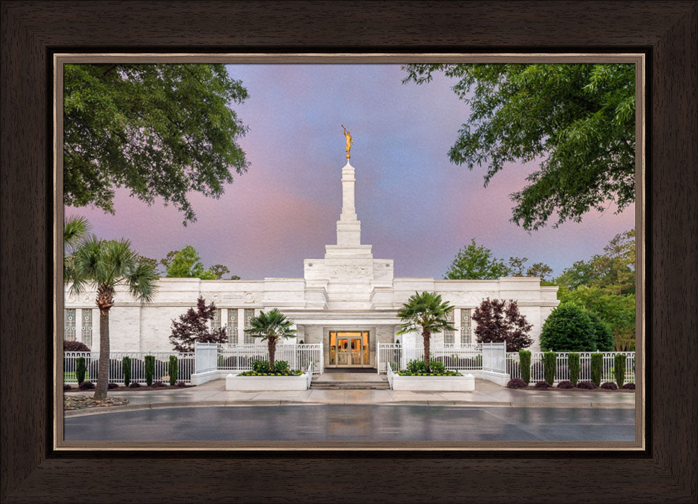 Columbia South Carolina - A House of Peace by Robert A Boyd