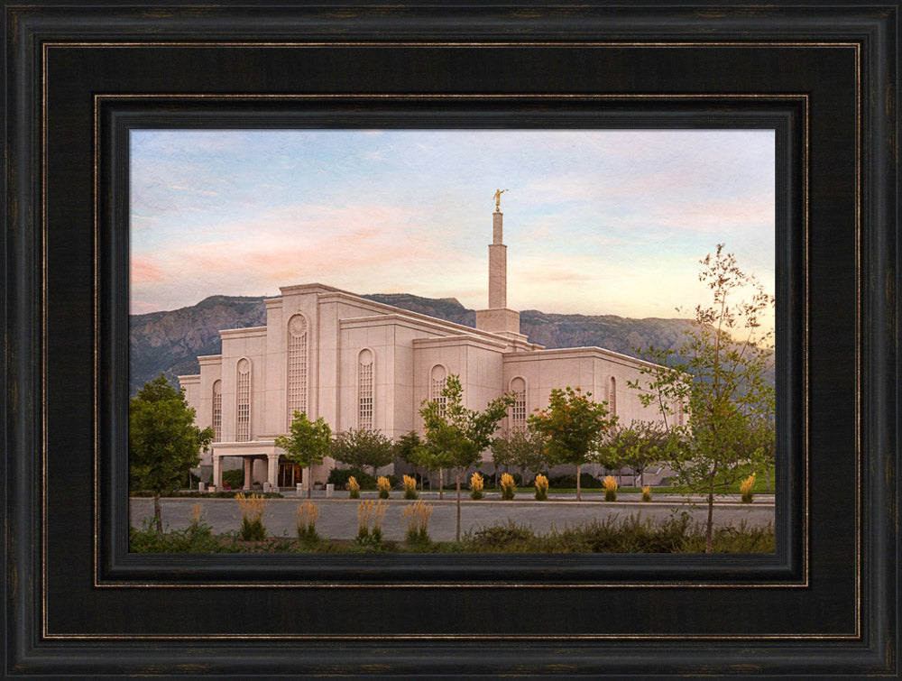 Albuquerque Temple - Holy Places Series by Robert A Boyd