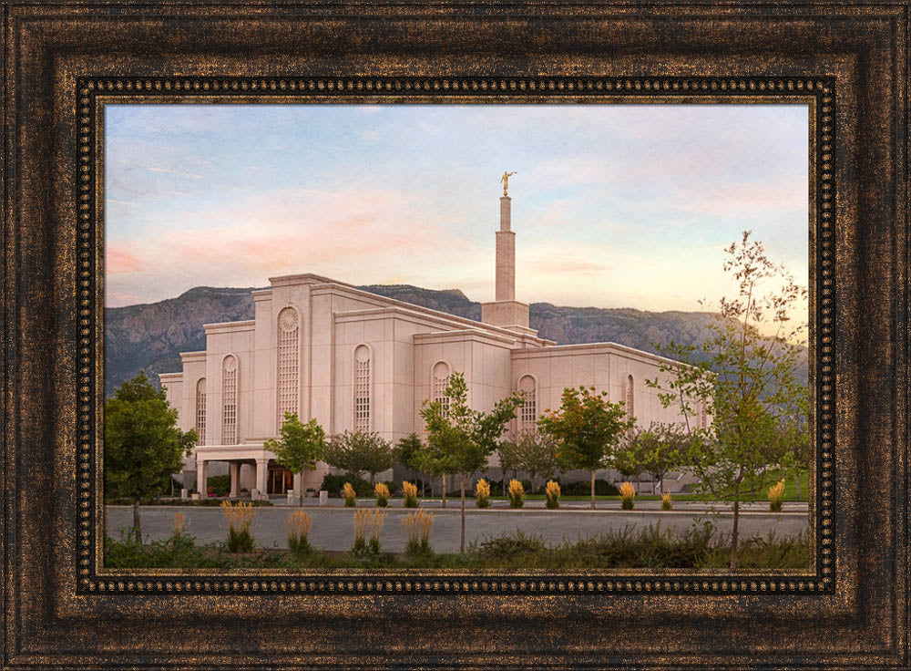 Albuquerque Temple - Holy Places Series by Robert A Boyd