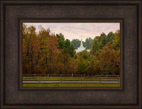 Palmyra Temple - Through the Trees by Robert A Boyd