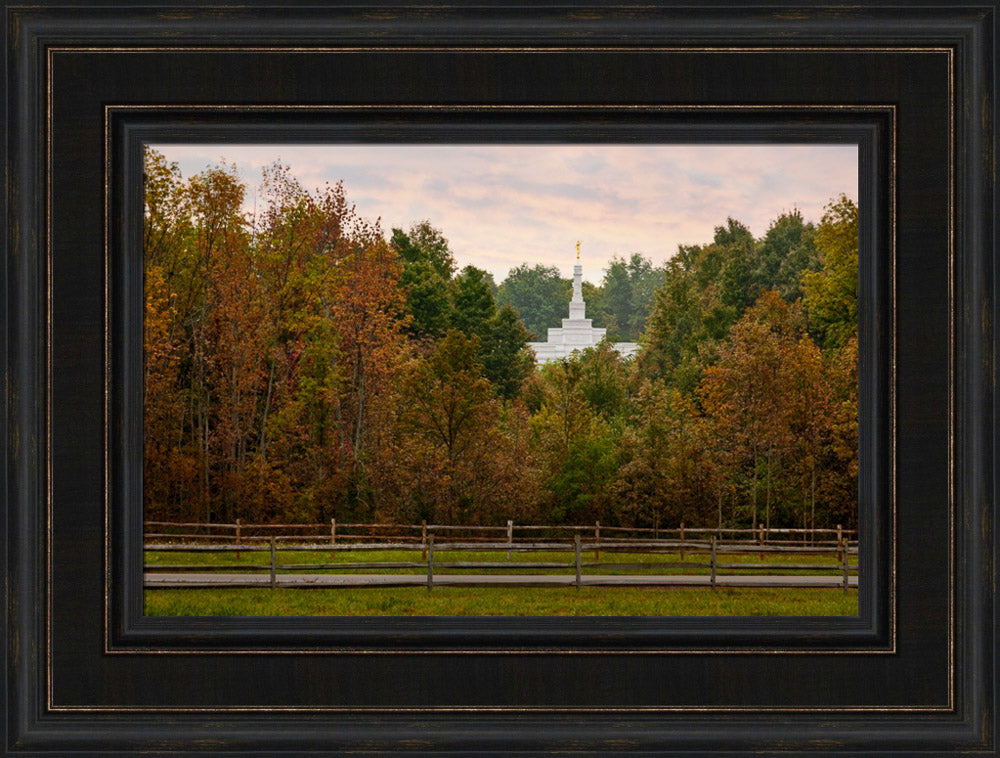 Palmyra Temple - Through the Trees by Robert A Boyd