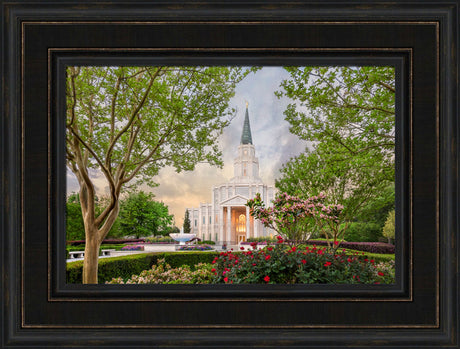 Houston Temple - Blossoms by Robert A Boyd