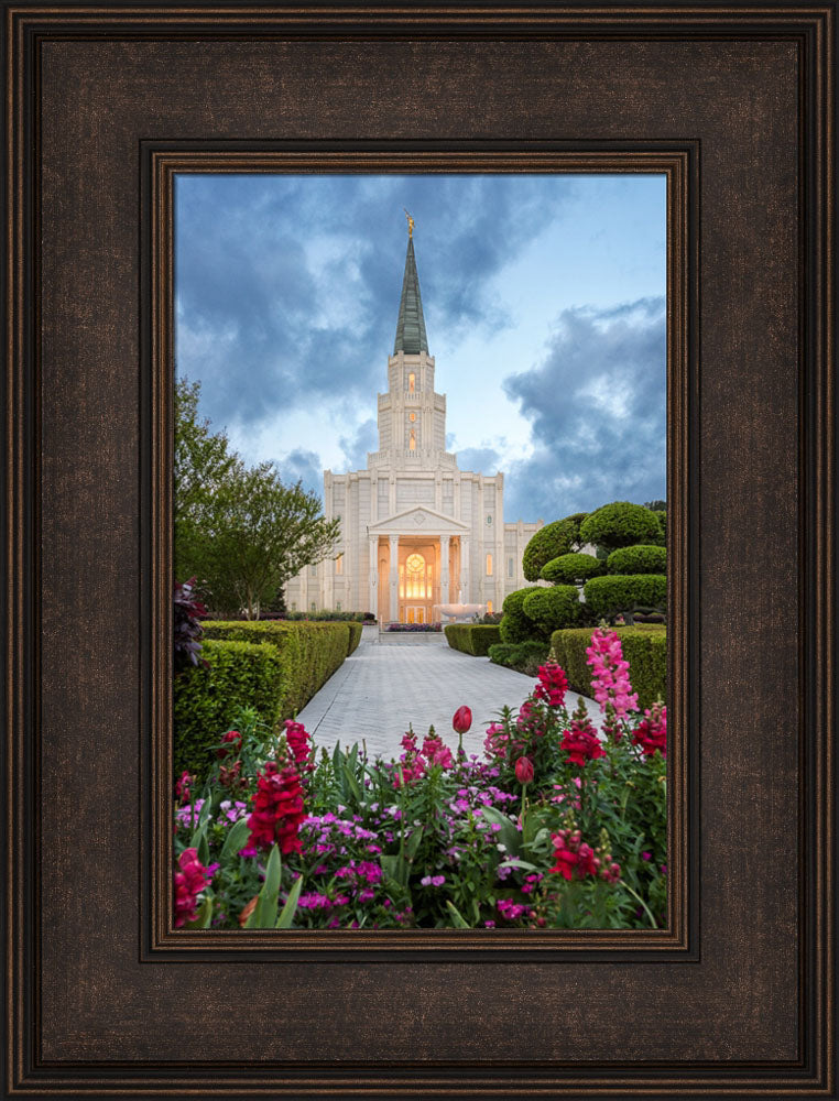 Houston Temple - Spring Tulips by Robert A Boyd