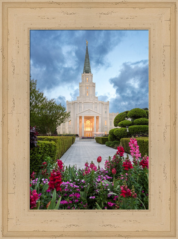 Houston Temple - Spring Tulips by Robert A Boyd