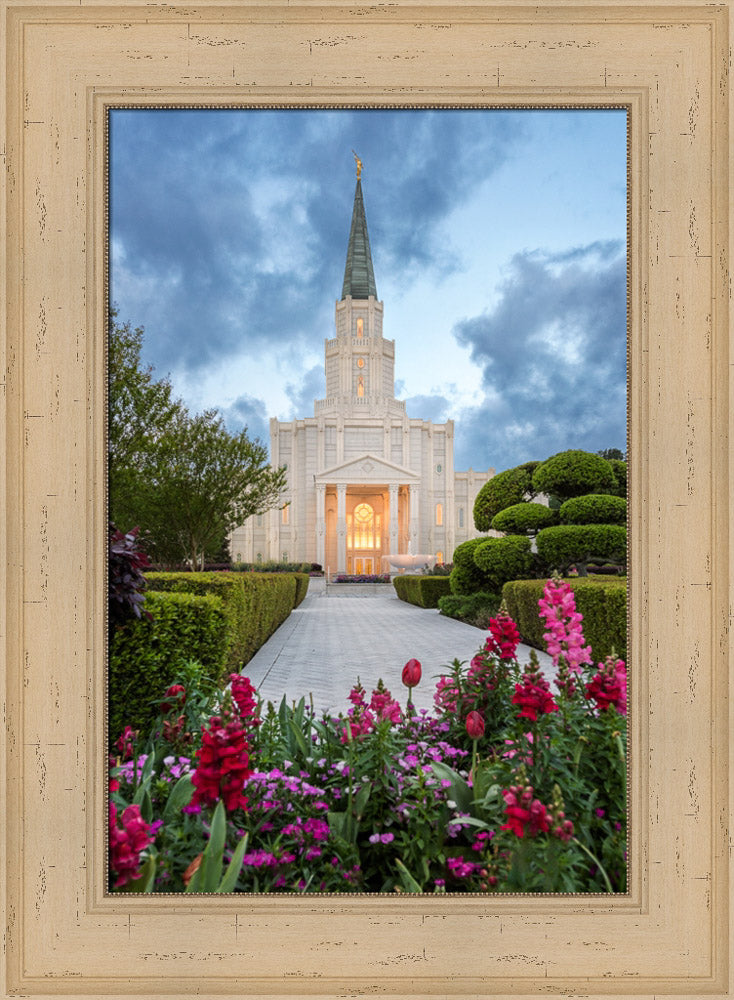 Houston Temple - Spring Tulips by Robert A Boyd