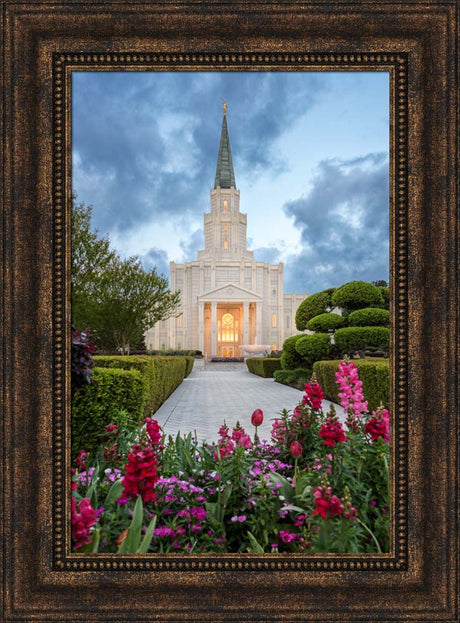 Houston Temple - Spring Tulips by Robert A Boyd