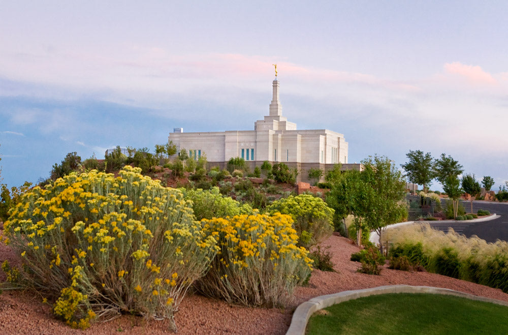 Snowflake Temple - Desertscape by Robert A Boyd