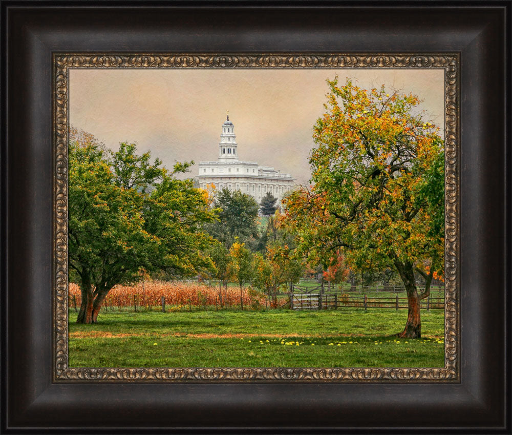 Nauvoo Temple - Apple Tree by Robert A Boyd