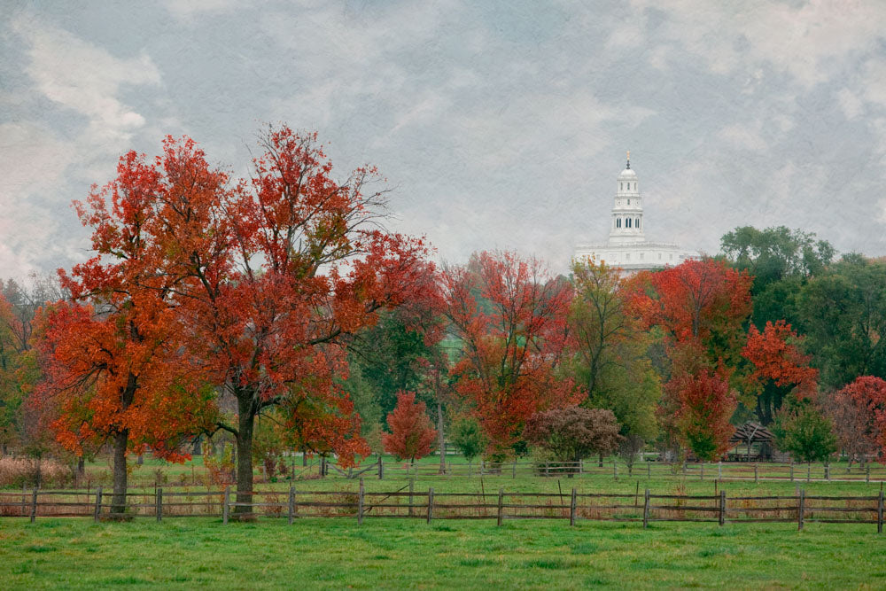 Nauvoo Temple - Fall Field by Robert A Boyd