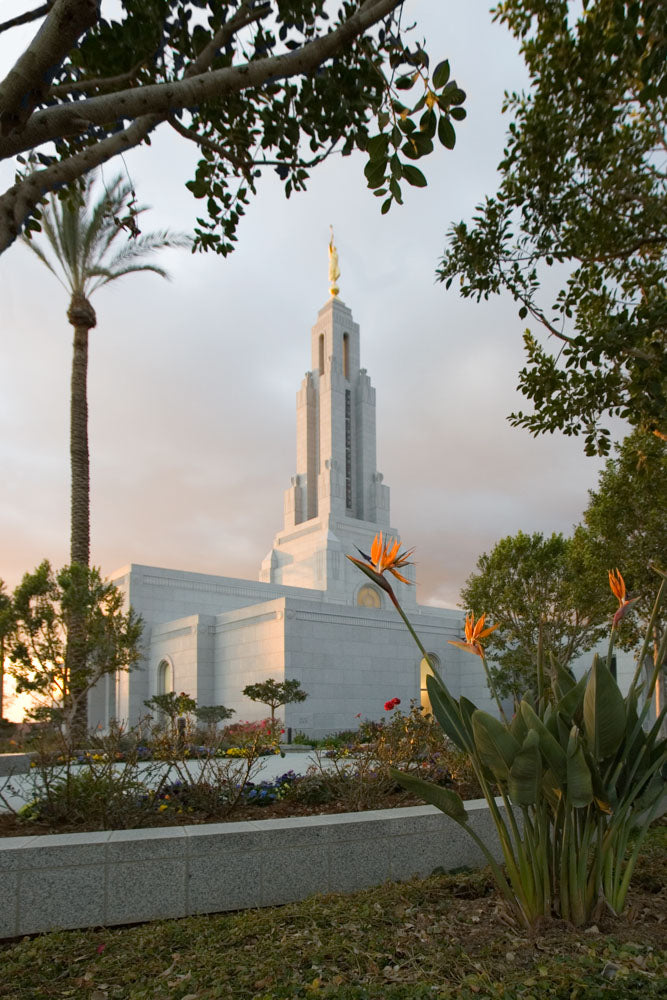 Redlands Temple - Flower by Robert A Boyd