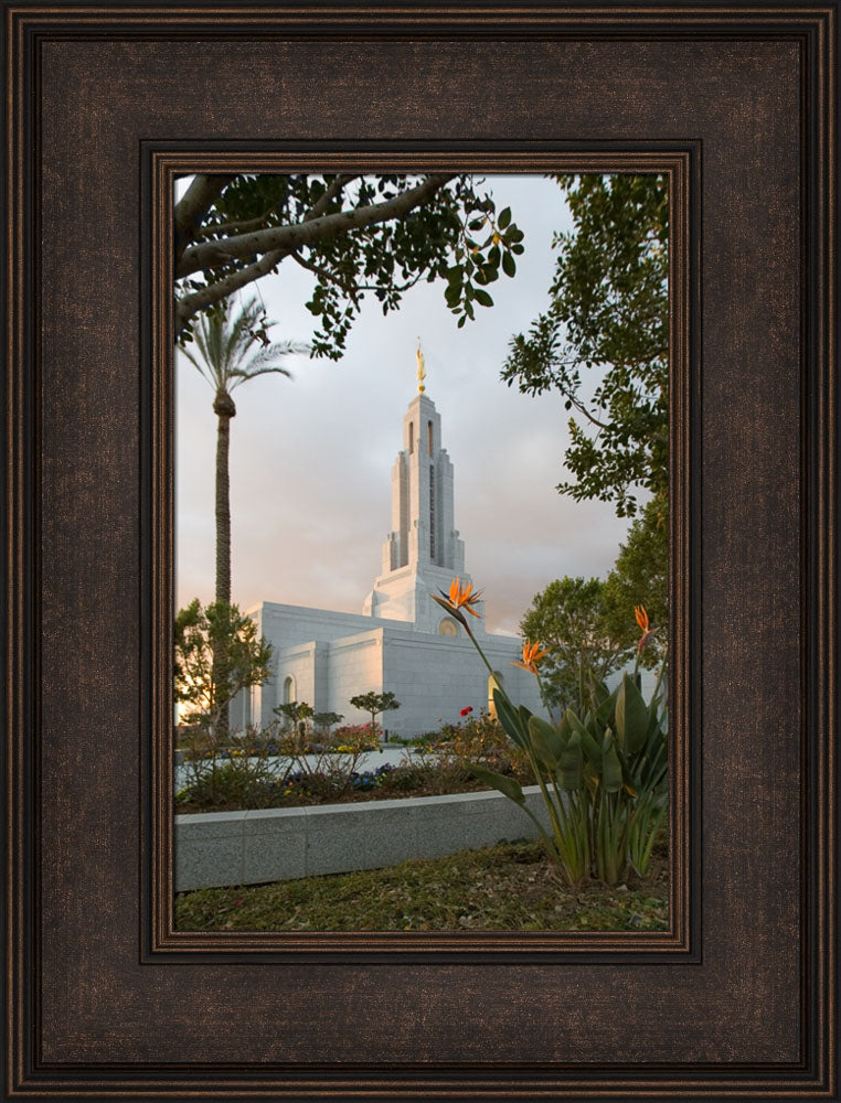 Redlands Temple - Flower by Robert A Boyd