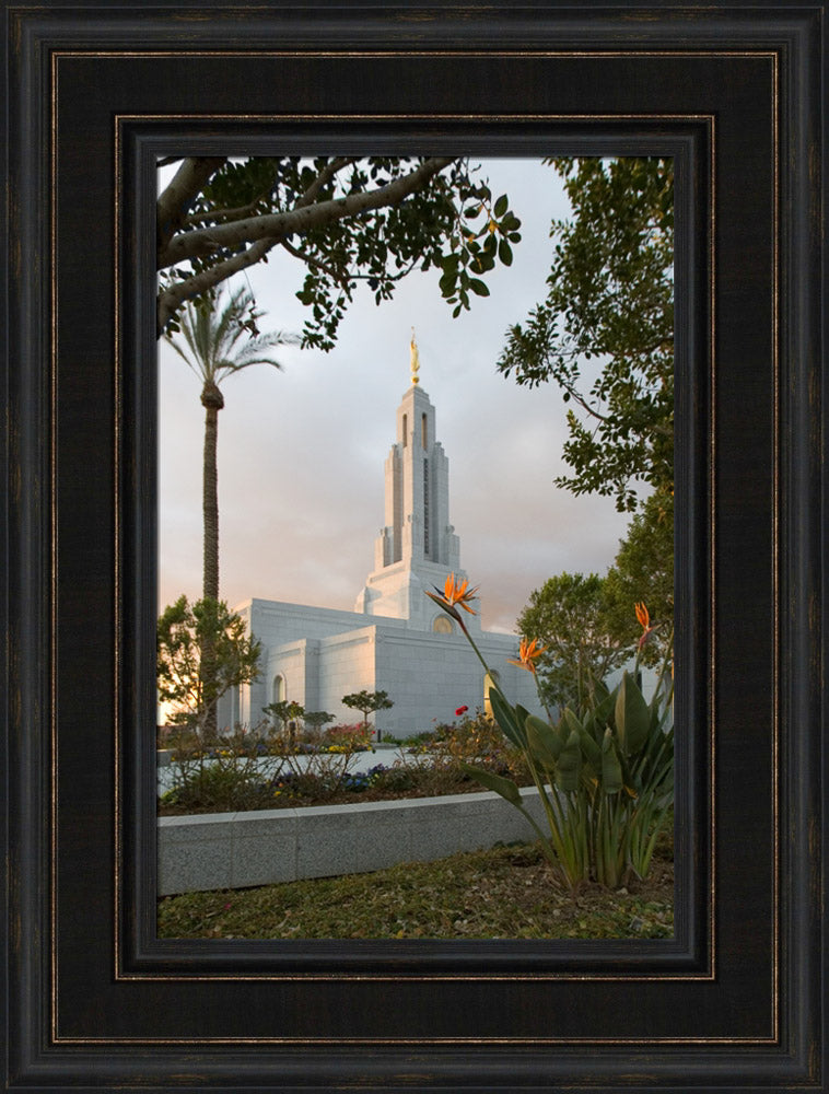 Redlands Temple - Flower by Robert A Boyd