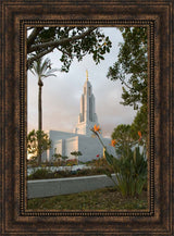 Redlands Temple - Flower by Robert A Boyd