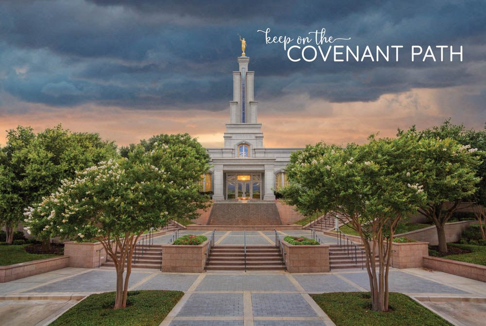 San Antonio Temple - Refuge From the Storm 12x18 repositionable poster