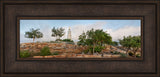 San Antonio Temple - Sanctuary by Robert A Boyd