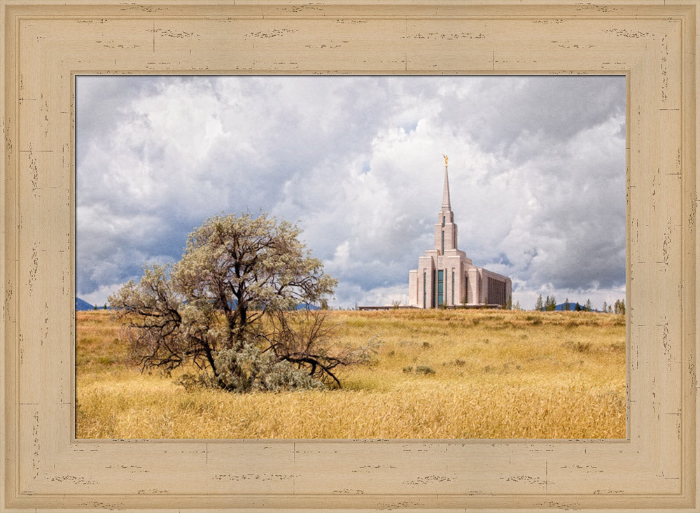 Oquirrh Mountain Temple - Tree and Field by Robert A Boyd