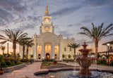 Tijuana Temple - Palm Trees by Robert A Boyd