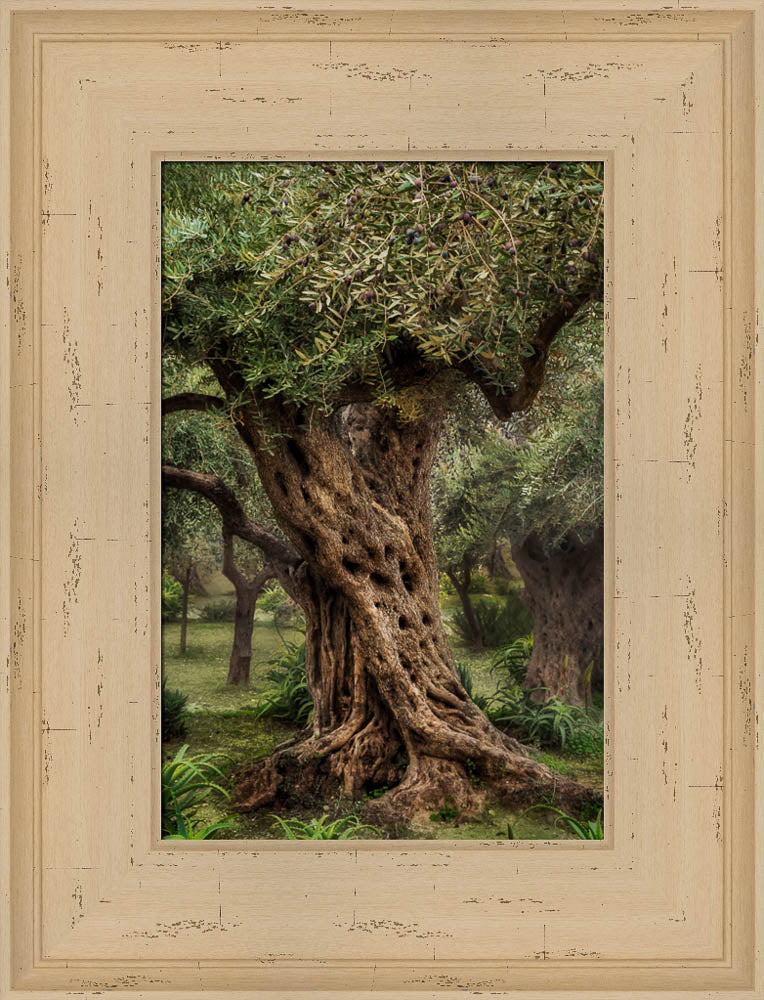 Gethsemane by Robert A Boyd