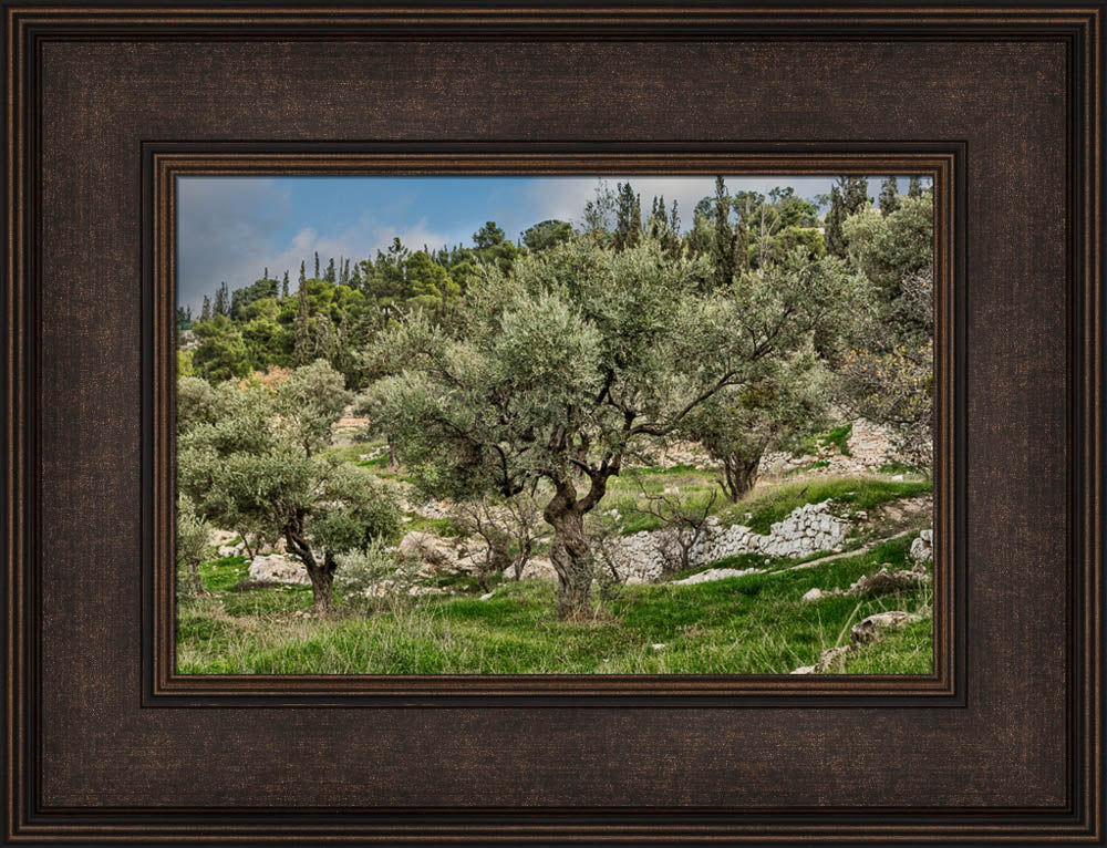 Mount of Olives by Robert A Boyd