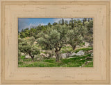 Mount of Olives by Robert A Boyd