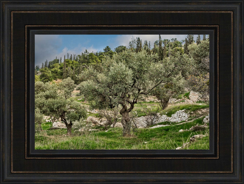 Mount of Olives by Robert A Boyd