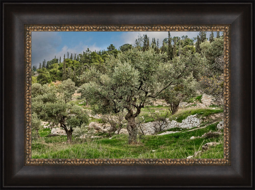 Mount of Olives by Robert A Boyd