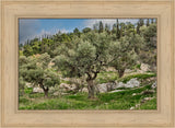 Mount of Olives by Robert A Boyd