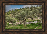 Mount of Olives by Robert A Boyd