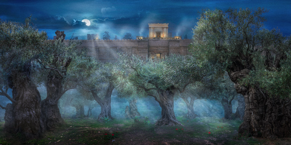 Garden of Gethsemane by Robert A Boyd