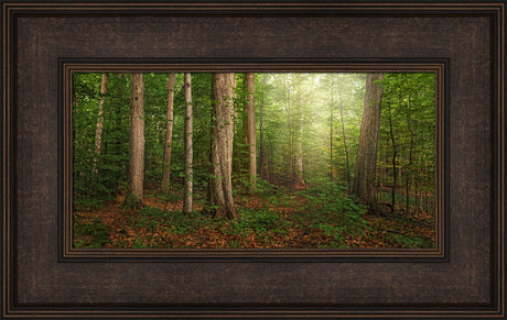 Sacred Grove - panoramic by Robert A Boyd