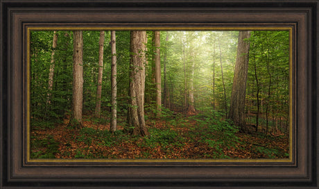 Sacred Grove - panoramic by Robert A Boyd