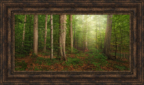 Sacred Grove - panoramic by Robert A Boyd