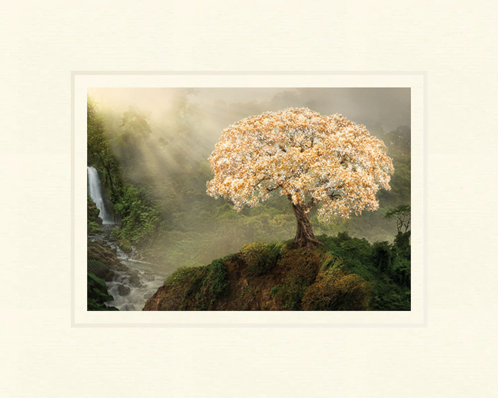 Tree of Life 5x7 print