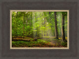 Sacred Grove - Radiant Beams by Robert A Boyd