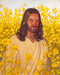 Portrait of Jesus standing in a field of blooming yellow flowers. 