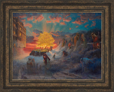 Tree of Life by Rex Price