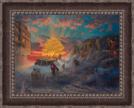 Tree of Life by Rex Price