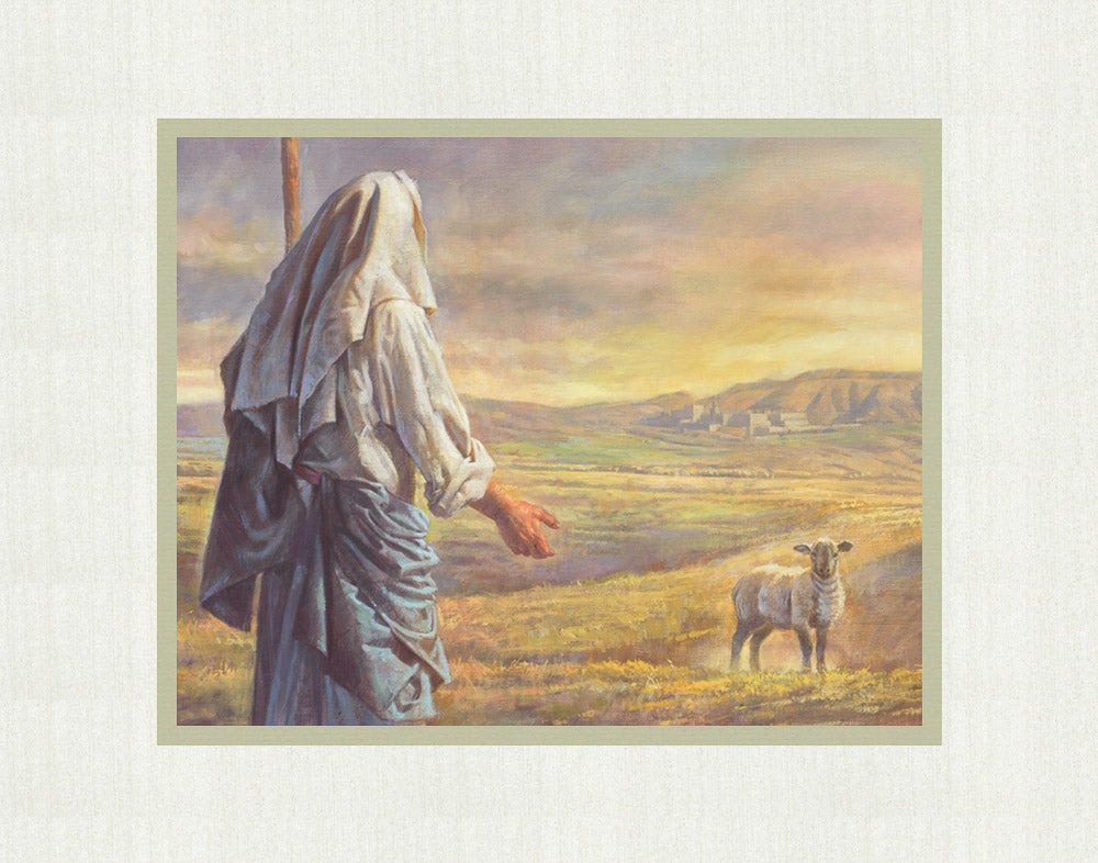 Sheep Getting Lost Parable Of The Lost Sheep