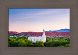 St George Temple - Above the Trees by Scott Jarvie