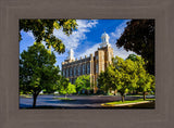 Logan Temple - Through the Trees by Scott Jarvie