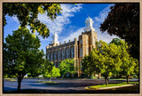 Logan Temple - Through the Trees by Scott Jarvie