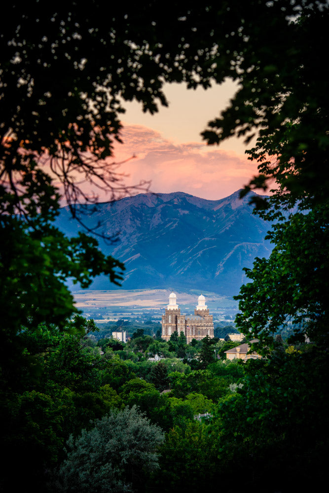 Logan Temple - Framed by Trees by Scott Jarvie