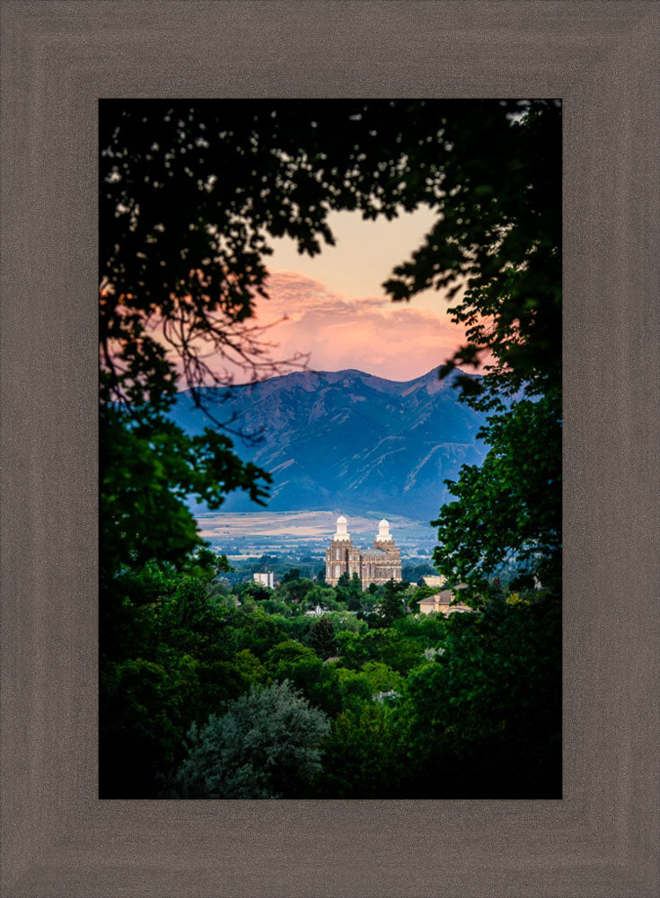 Logan Temple - Framed by Trees by Scott Jarvie