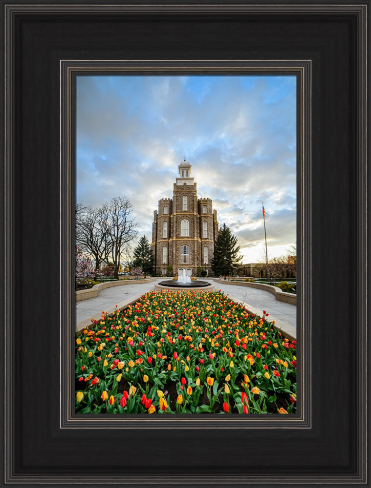 Logan Temple - Tulips by Scott Jarvie