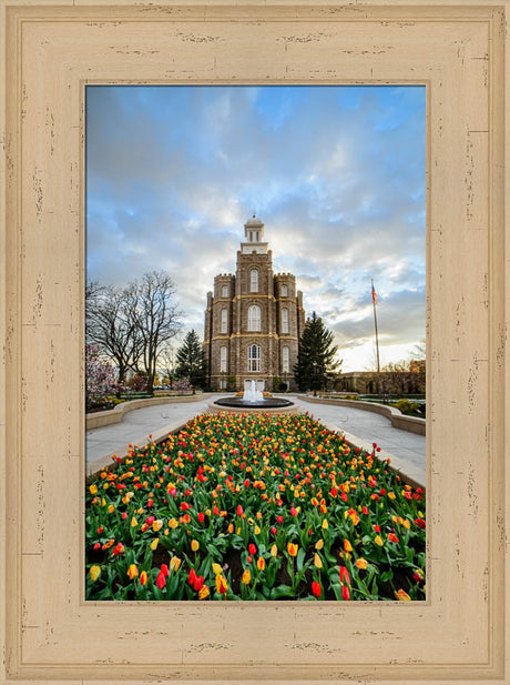 Logan Temple - Tulips by Scott Jarvie