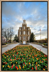 Logan Temple - Tulips by Scott Jarvie