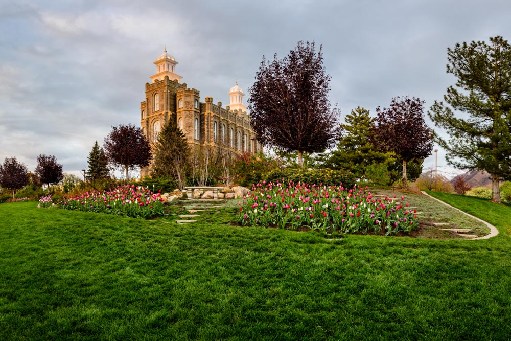 Logan Temple - Springtime Detail by Scott Jarvie